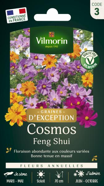 Fleurs - Cosmos Feng Shui - Graines d'Exception - face recto